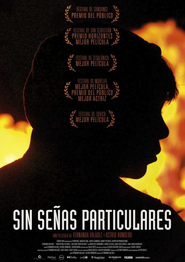 Locandina del film Sin señas particulares